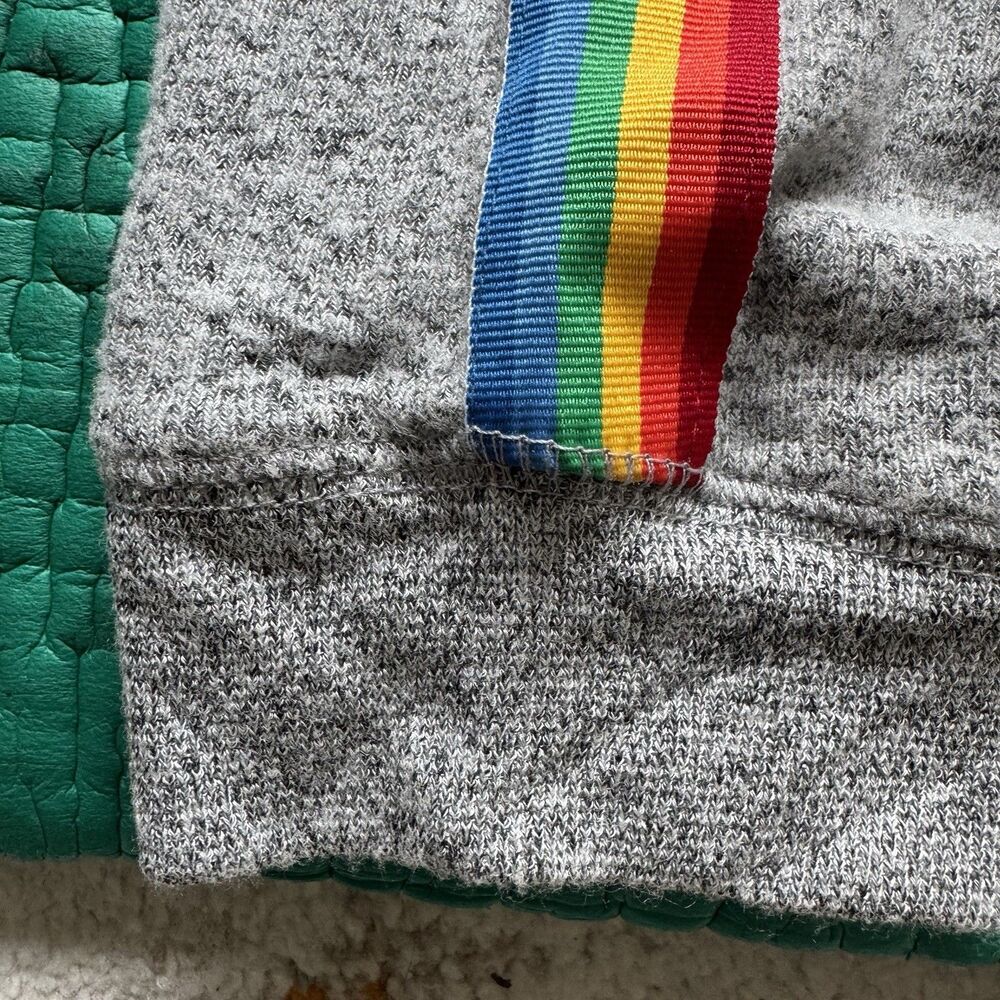 NEW Free Press Sweatshirt Womens L Gray Rainbow Accent Long Sleeve Crew Neck NWT - Picture 14 of 16